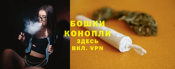 мескалин Богданович
